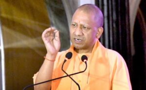 yogi