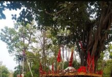 लच्छीवाला के घने जंगल एवं हाइवे पर आस्था का केंद्र है मणि माई का मन्दिर